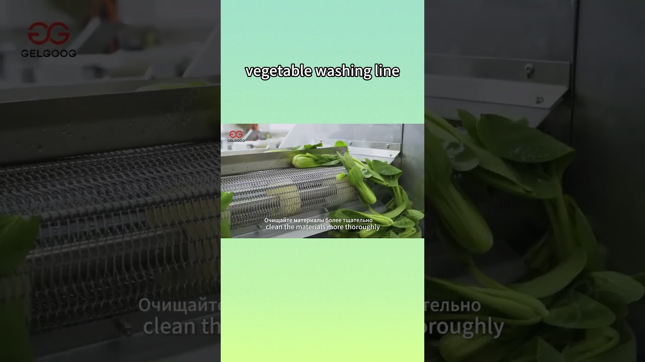 Vegetable Washing Processing Line