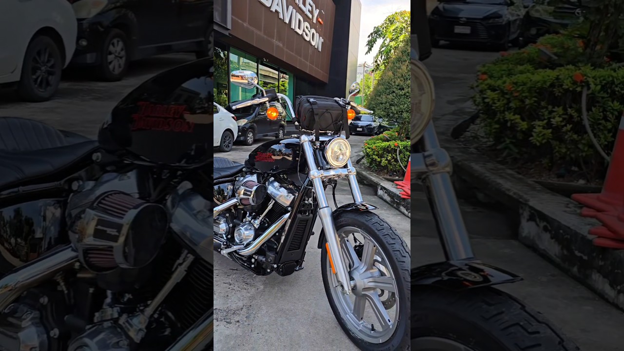 Harley-Davidson Softail Standard 2024 สารตั้งต้นที่ลงตัวอีกหนึ่งรุ่น 😍 #harleydavidson #harley