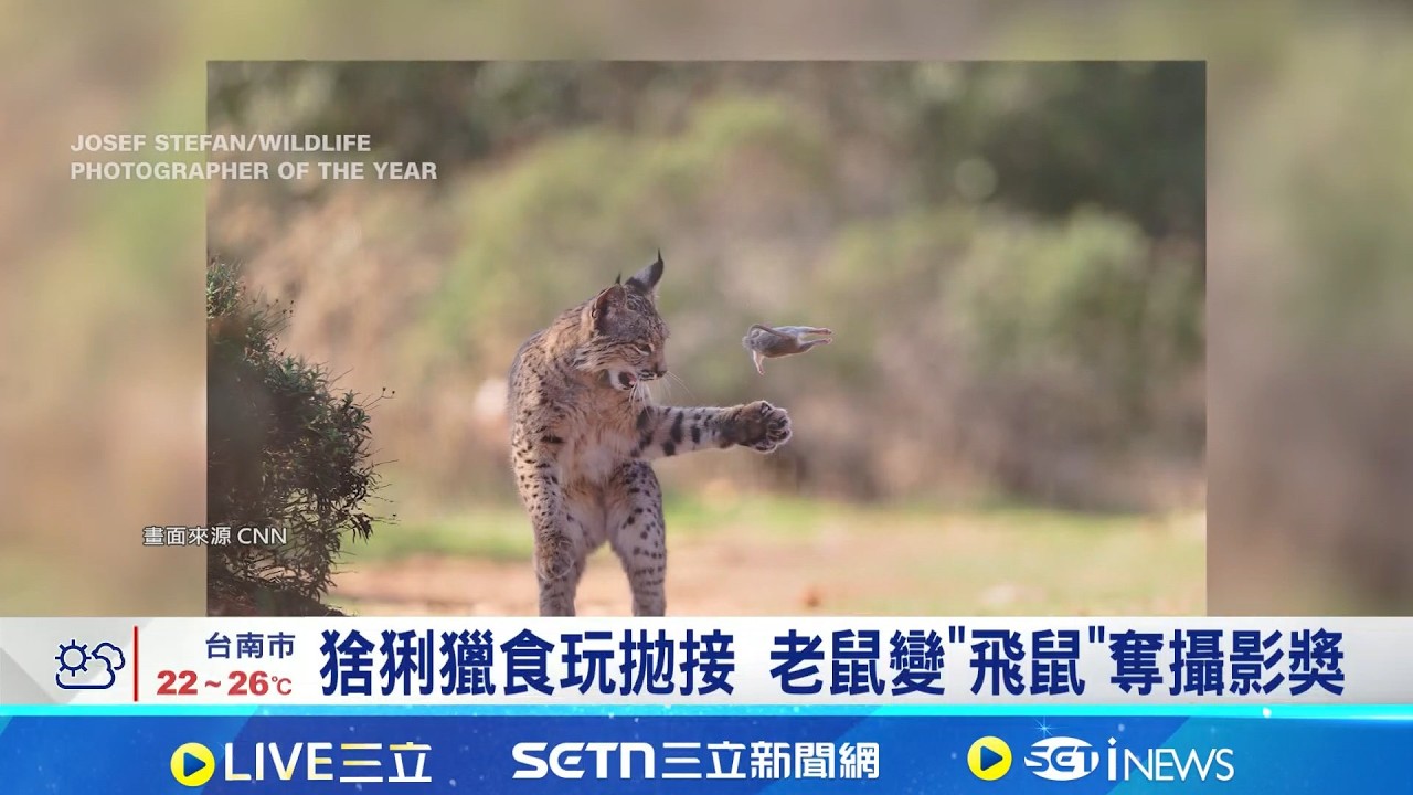 大熊湖最狂