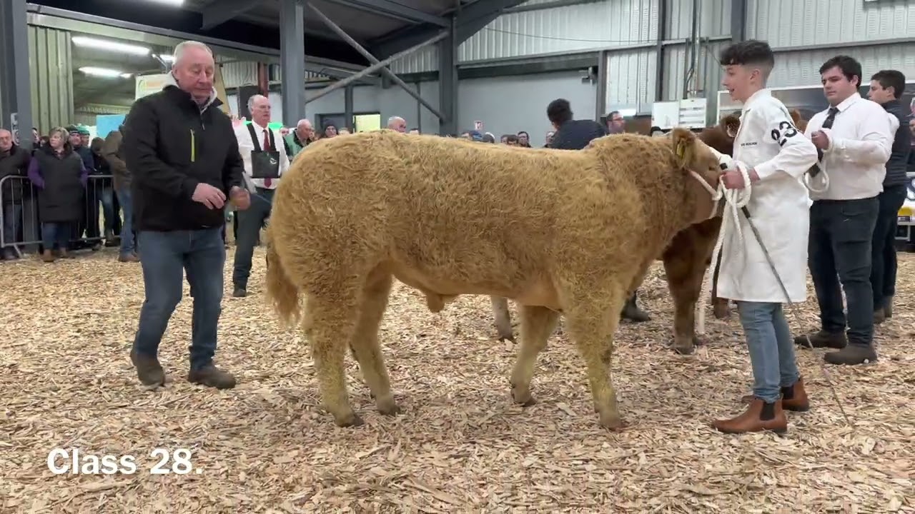 Carrick Winter Fair 2022, Classes 6, 13, 14, 28, 33.
