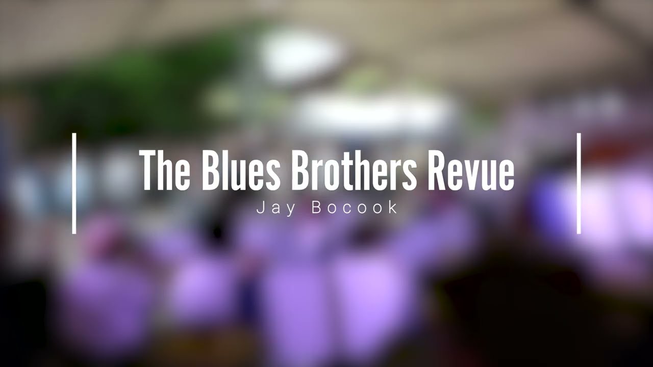 The Blues Brothers Revue / Arr. Jay Bocook - Musikzug Lägerdorf - Weinfest Itzehoe 2025