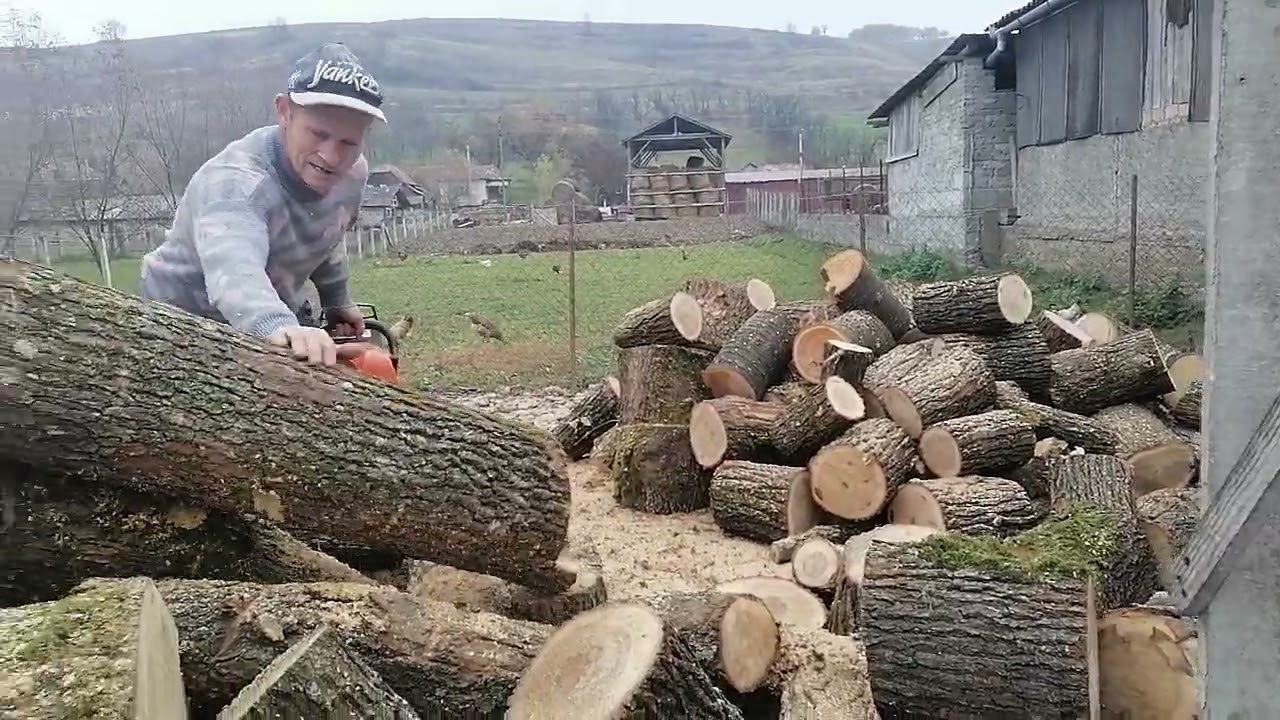 VIATA MUNCA LA TARA 2024