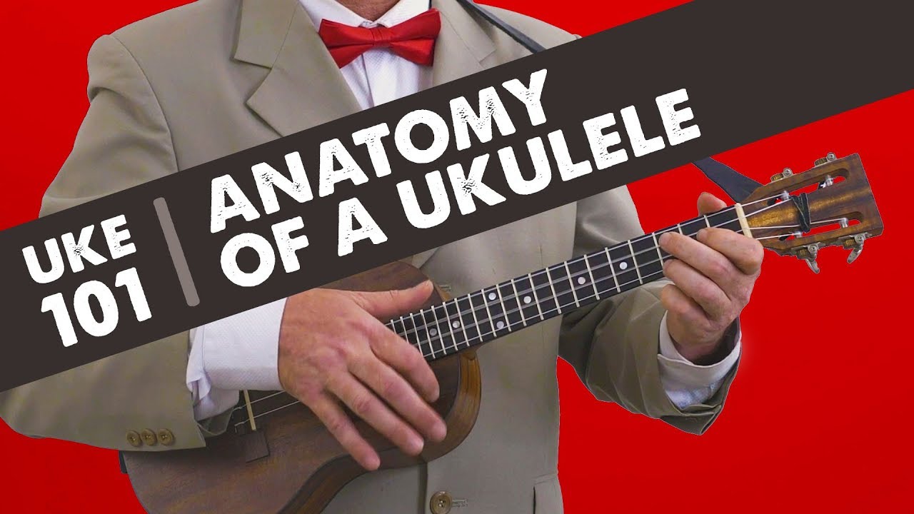 Ukulele 101 – Anatomy of A Ukulele