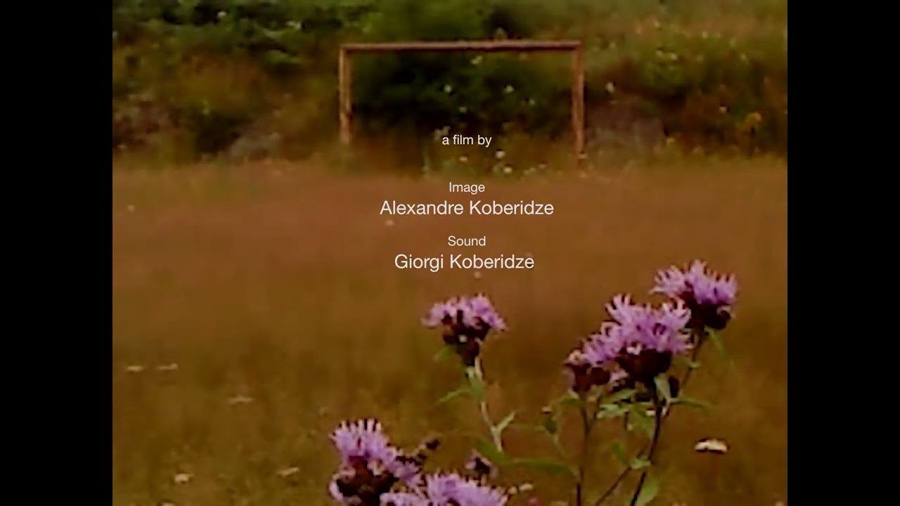 Dry Leaf | Official Teaser Trailer