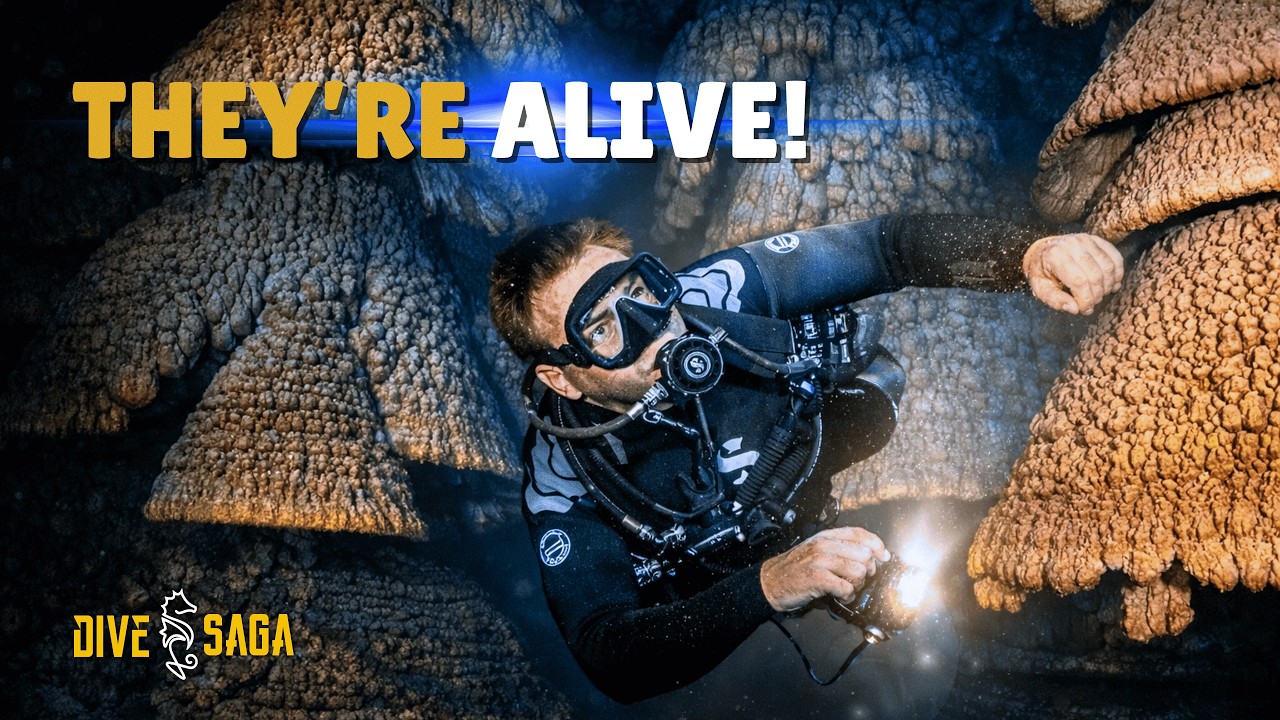 Diving Cenote Zapote: Inside Mexico’s Living Underwater Cave