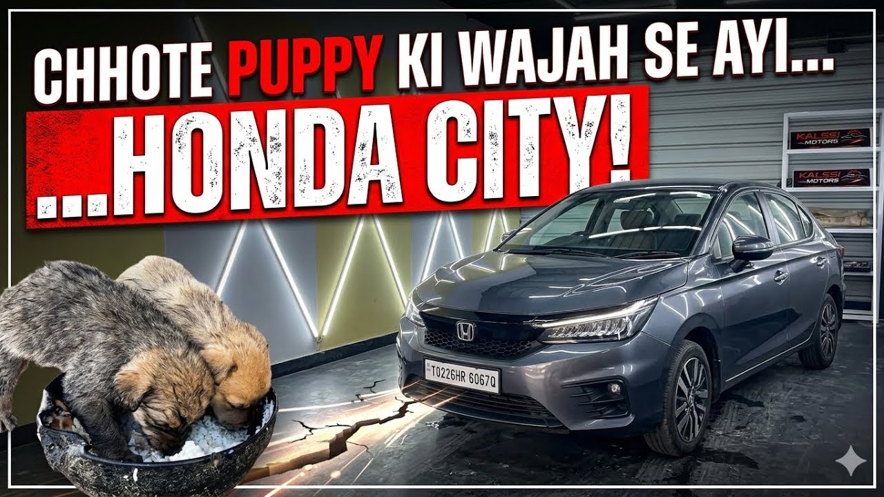 Chote puppy ki wajah se ayi honda city😨