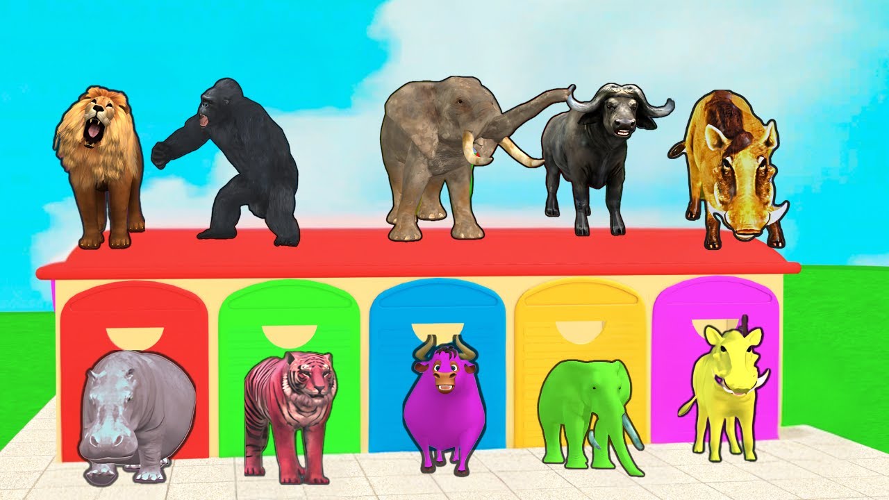 Long Slide Game With Funny Real And Color Animals &ndash; 3D Animal Game -Funny 3d Animals