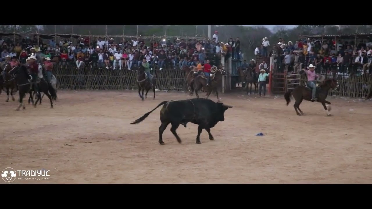 DUELO DE GANADERIAS ABALA 2022