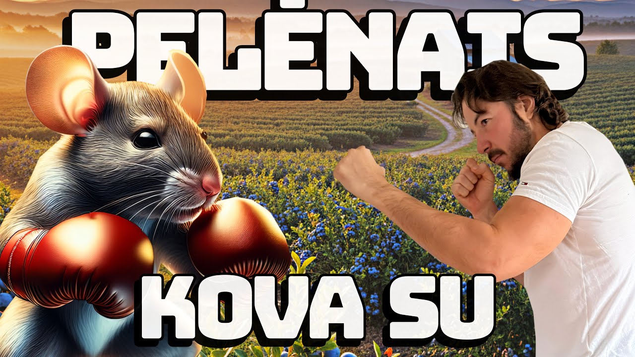 Kova su pelėnais šilauogių ūkyje