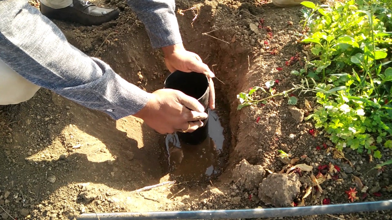 Water Diffuser Installation for Plants