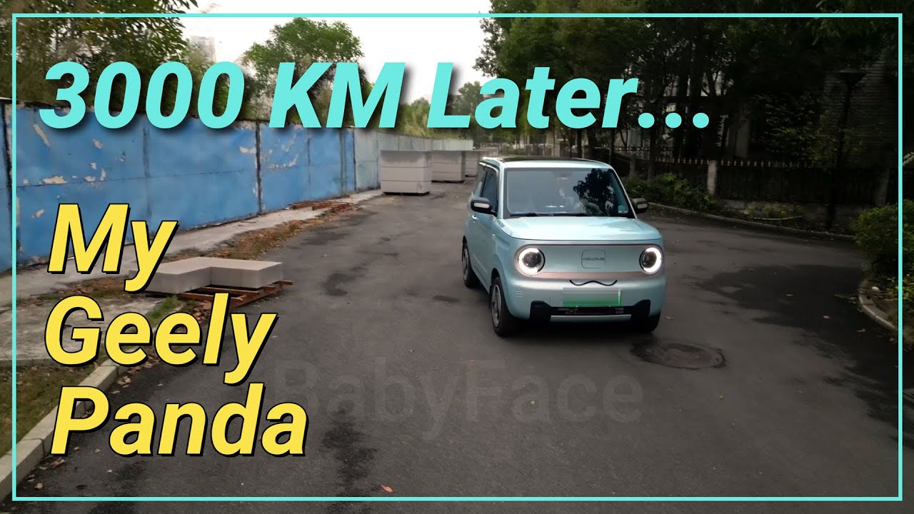 My Geely Panda Mini EV ... 3000 km later  #chinese #ev #car