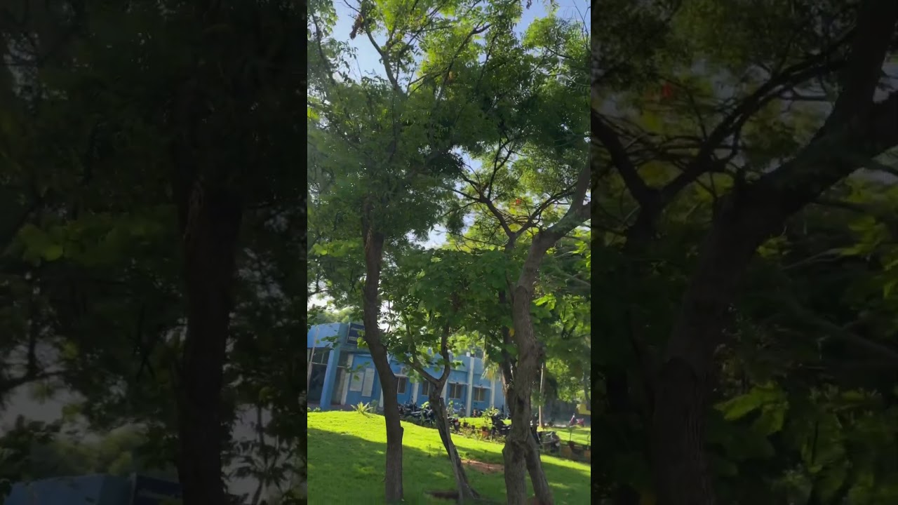 Fishing Harbour | Pondicherry | #place