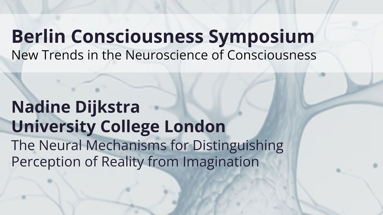 The Neural Mechanisms for Distinguishing Perception of Reality from Imagination
