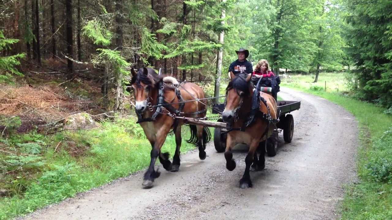 Lill-Frans o Kalle i par.MOV
