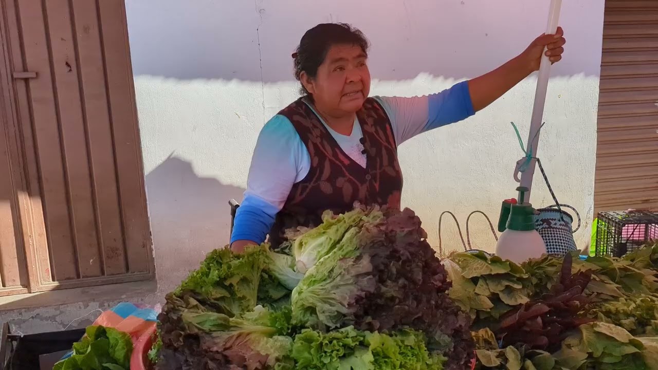 Entrevista a Marchanta