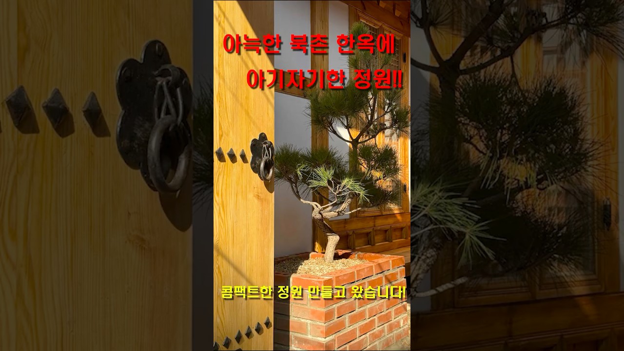 아늑한 북촌 한옥에 아기자기한 정원!! #terracegardens  #garden #가드닝 #gardening #정원 #조경