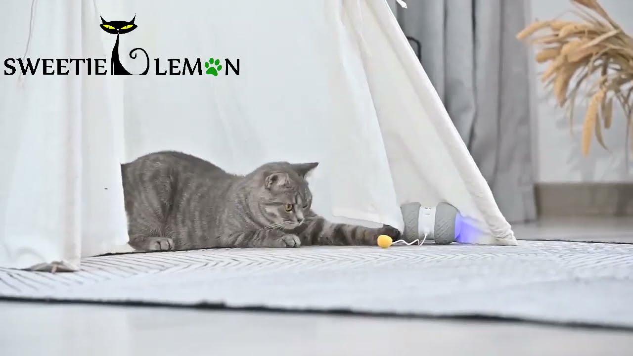 Sweetie Lemon Automatic Interactive Cat Toy