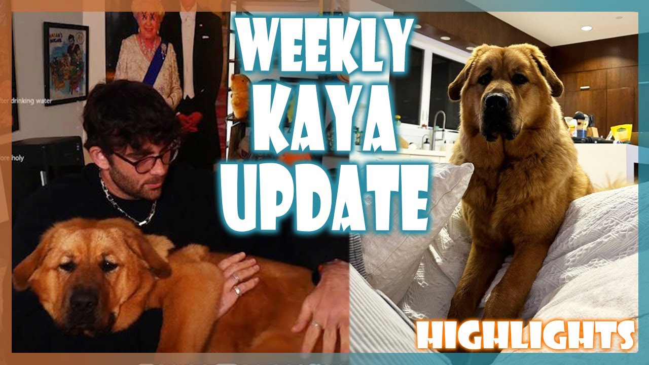 Kaya's Weekly Update! Hasan Reports That Kaya Was A Very Good Girl This Week