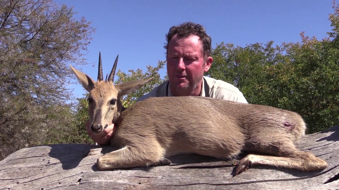 RW Safaris - Mike Hunting Duiker 2017