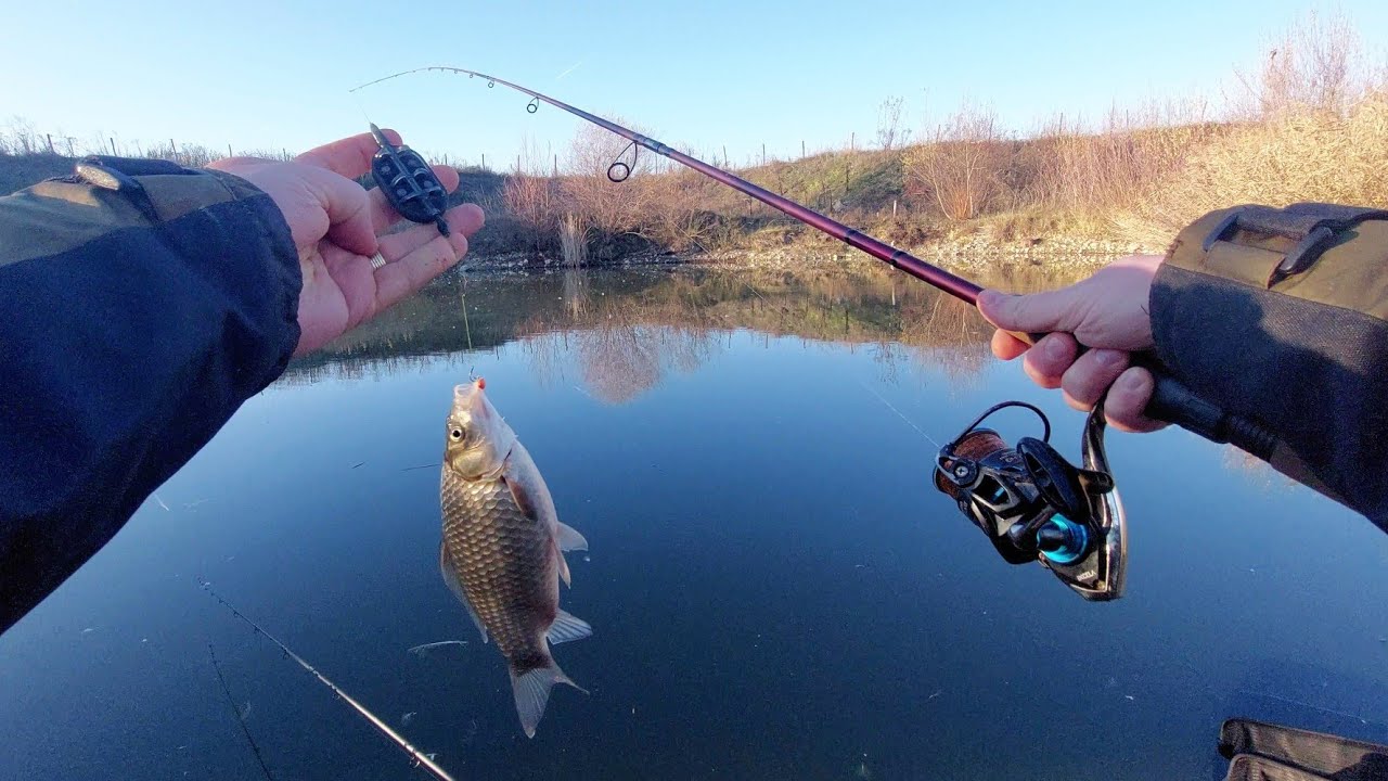 SFATURI &icirc;n Pescuit pe APĂ RECE la Method Feeder - Partidă scurtă cu Final de Poveste 😁🎣  #fishing 