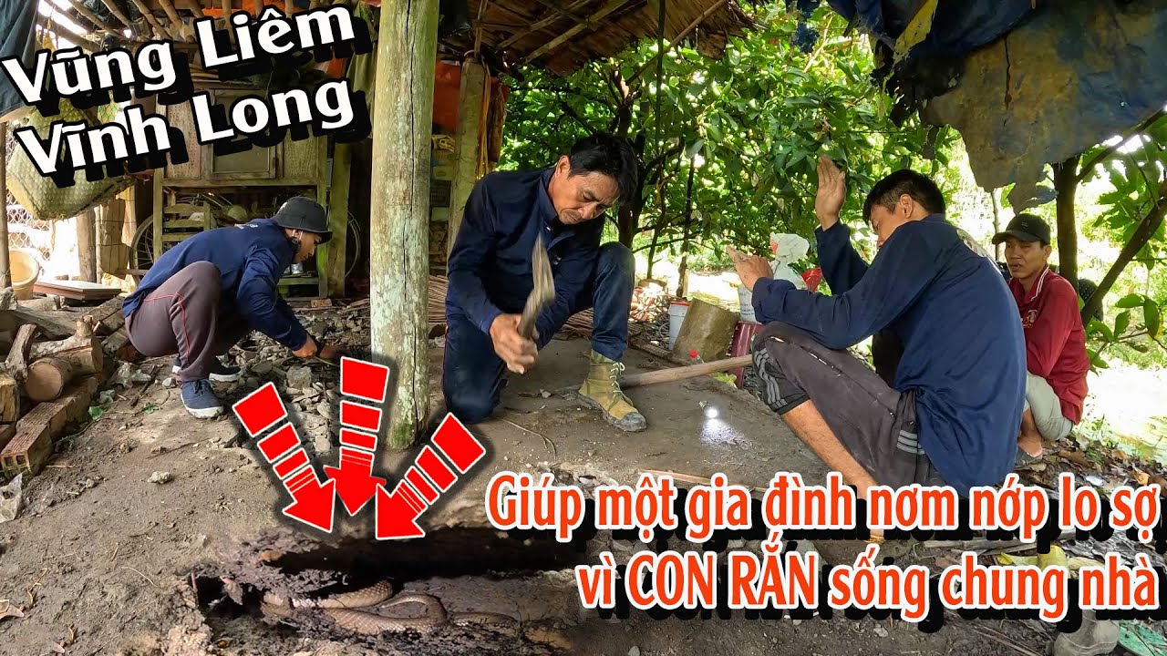 Đã giúp được một gia đình ở Vĩnh Long thoát hiểm khỏi CON RẮN ĐỘC | TGSB #1003