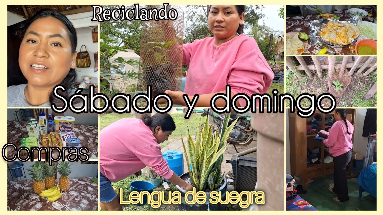 Mi vida de ama de casa sábado y domingo💯 sembrando plantas 🥰