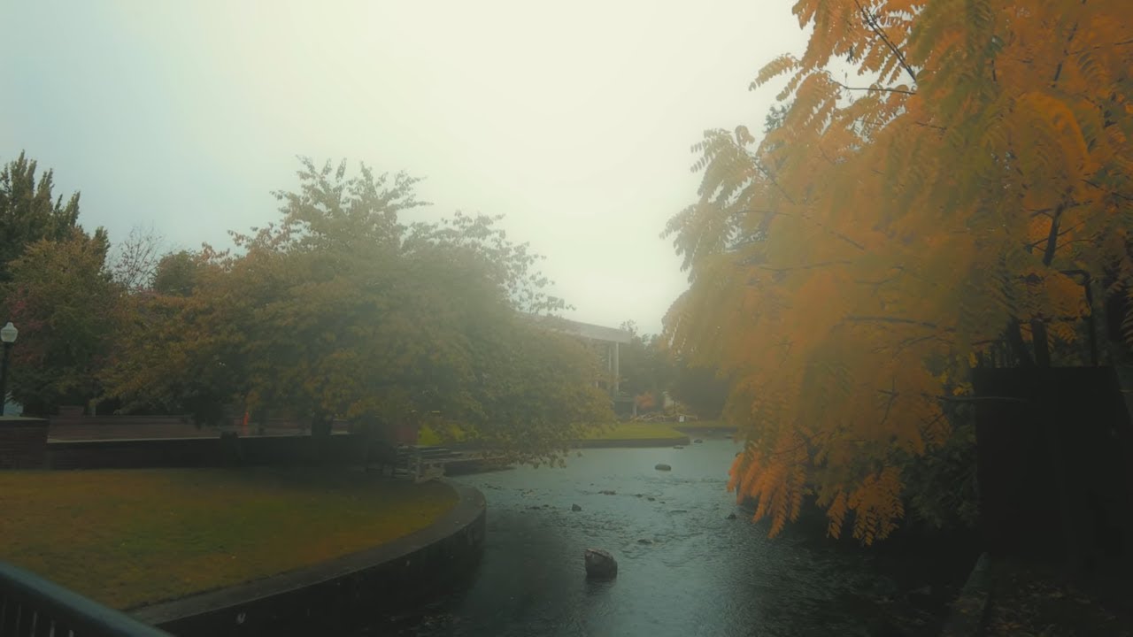 Salem, Oregon Fall Walk 2025