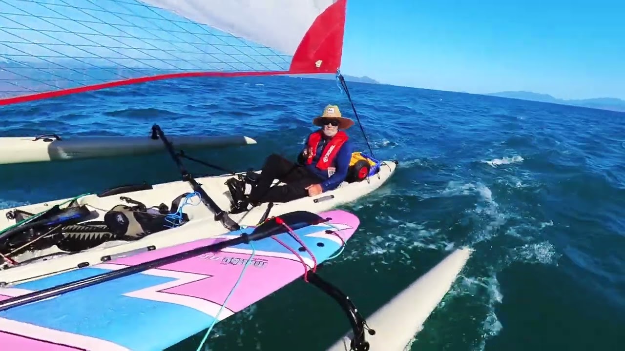 Hobie Tandem Island sailing  with shark 