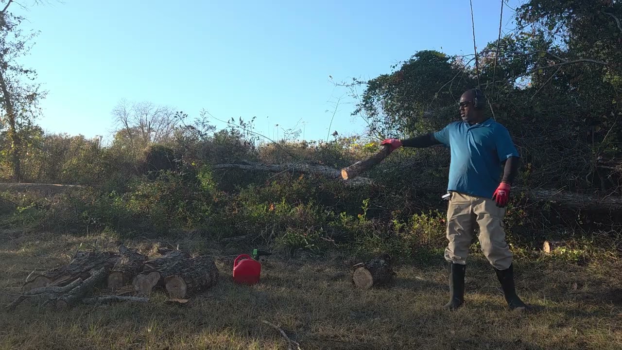 How to remove fallen trees. #williamshomesteadhaven 
