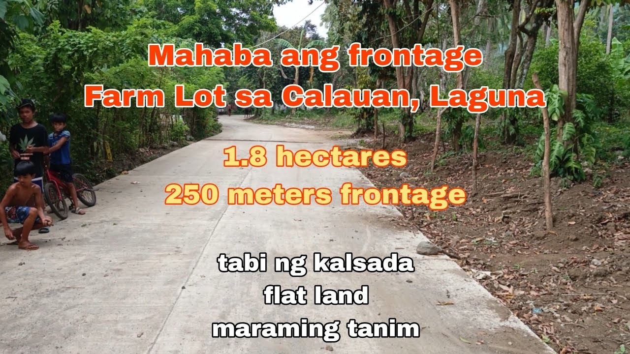 (P# 775) 1.8 hectares farm Lot @ 600/sqm in Calauan, Laguna for sale