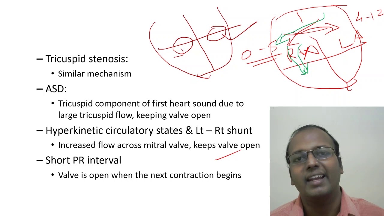 Heart Sounds & Cardiac Murmurs - Cardiology