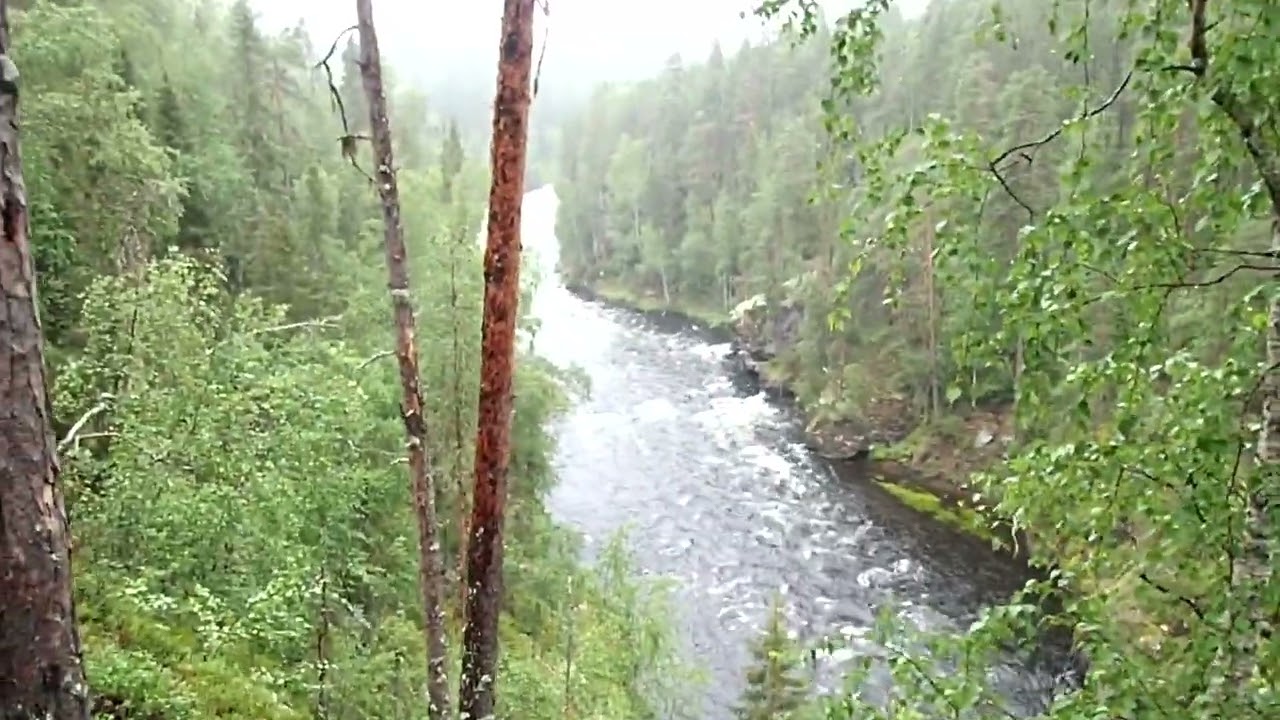 Oulangan kansallispuisto Lapland Finland Jyr&auml;v&auml;nkoski Kitkajoki 24.07.2016
