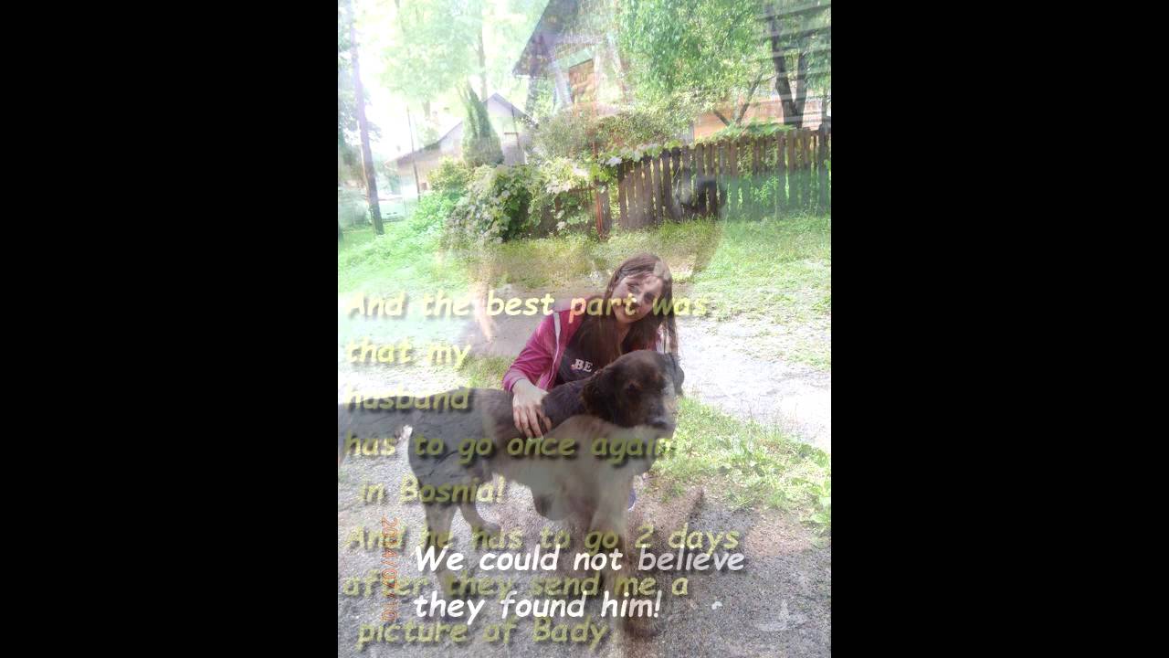 &hearts;Story about love, hope and a dog&hearts;