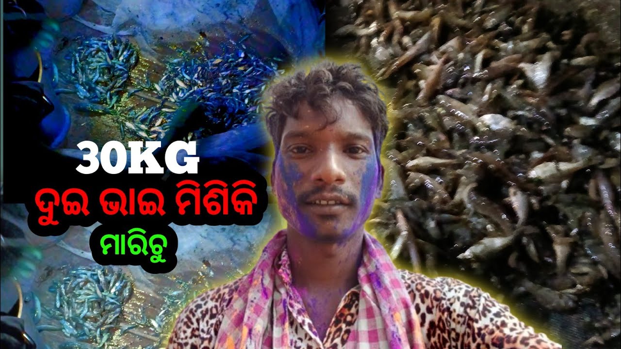Very Sorry friends 😭 ହୋଲି ରେ ଏମିତି ହେବ ବୋଲି ଜାଣି ନଥିଲି ! Sanatan Kisan Vlogs 