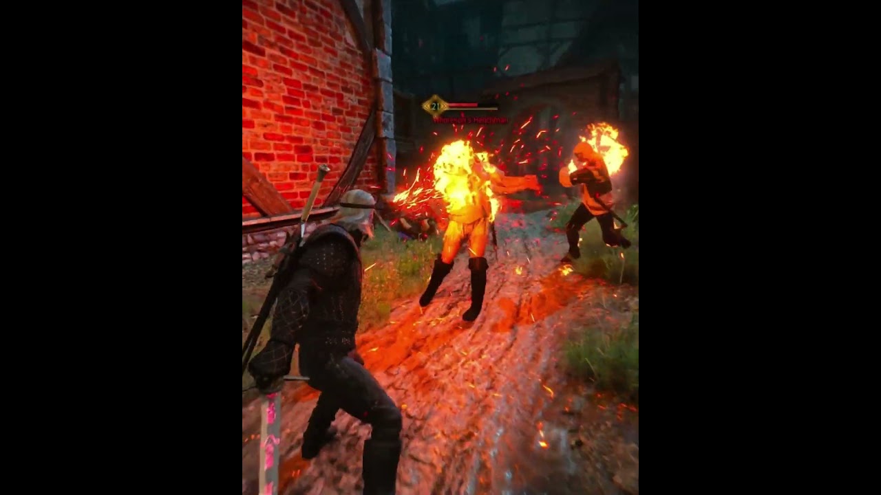 geralt does not hesitate💀 | witcher 3 wild hunt brutal combat #witcher3 #thewitcher3 #witcher