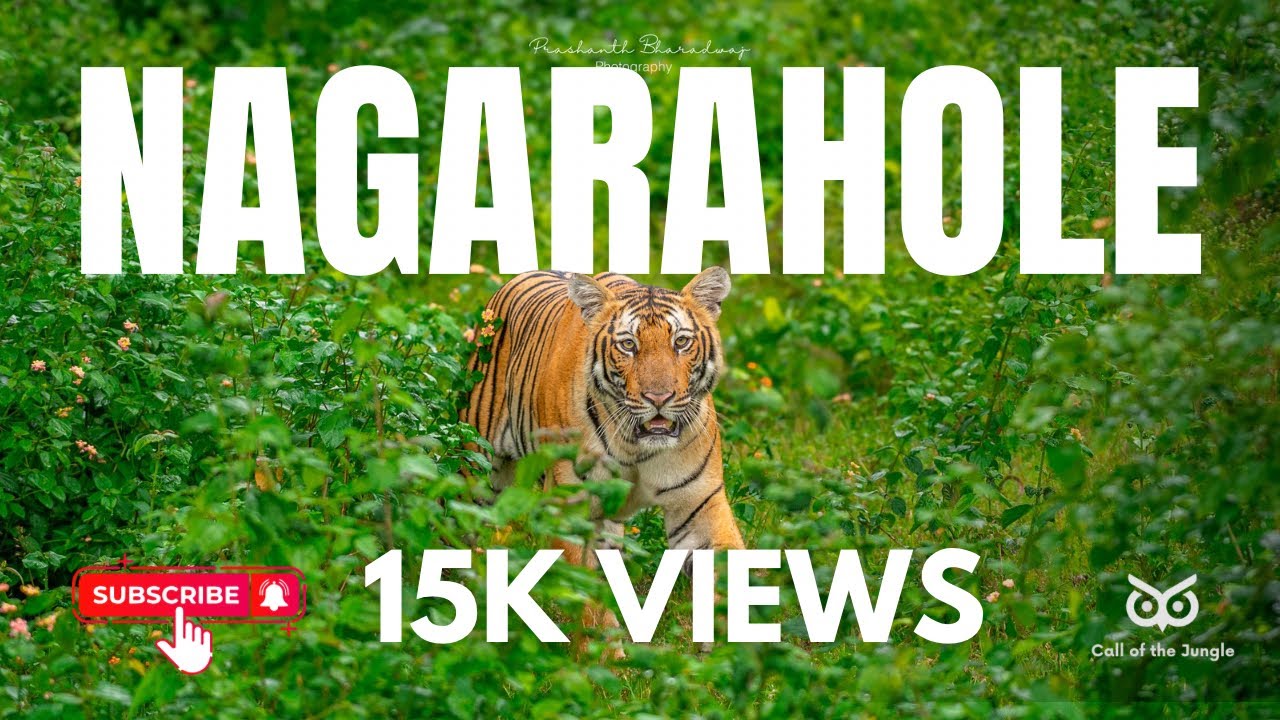 Nagarahole | A Jungle full of diamonds | Watch Now