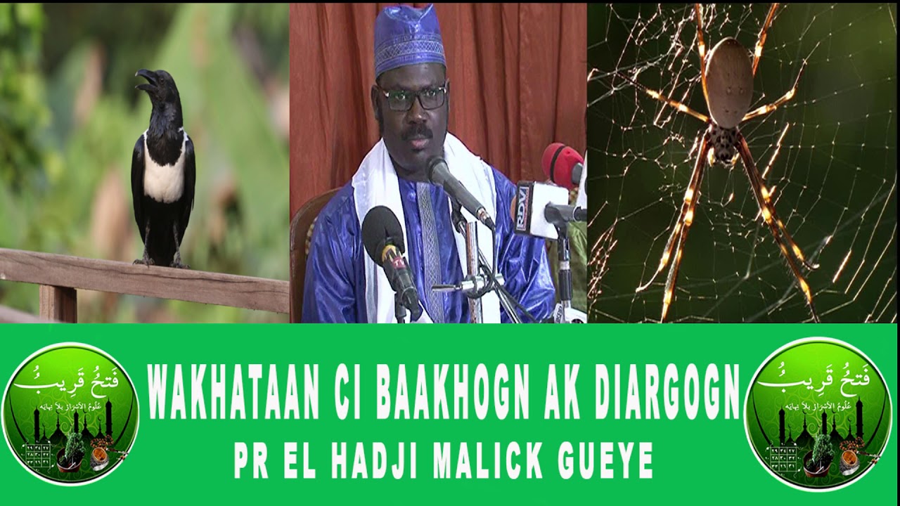bakhogn ak diargogn par el hadji malick gueye