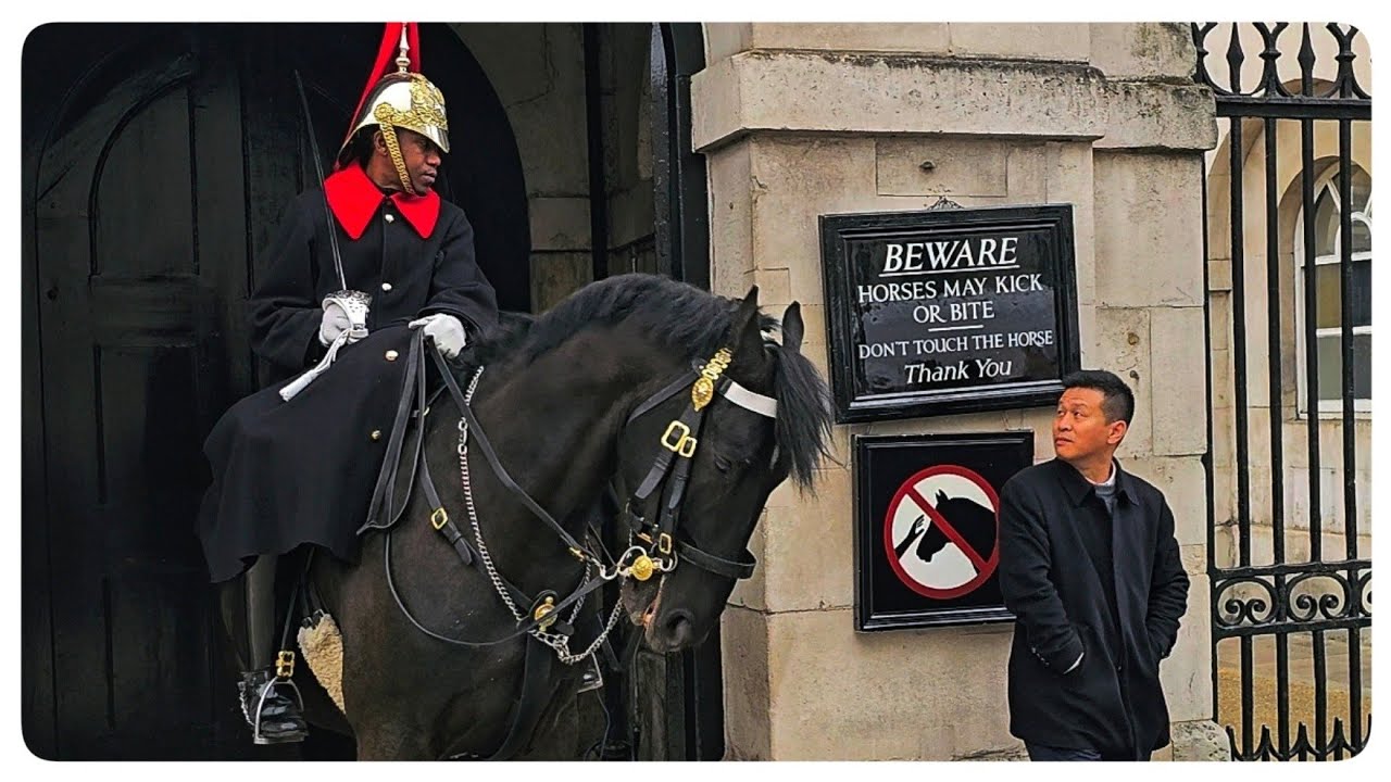 MASSIVE UPDATE on the CHANGES at Horse Guards and The Elizabeth Cup 2025!