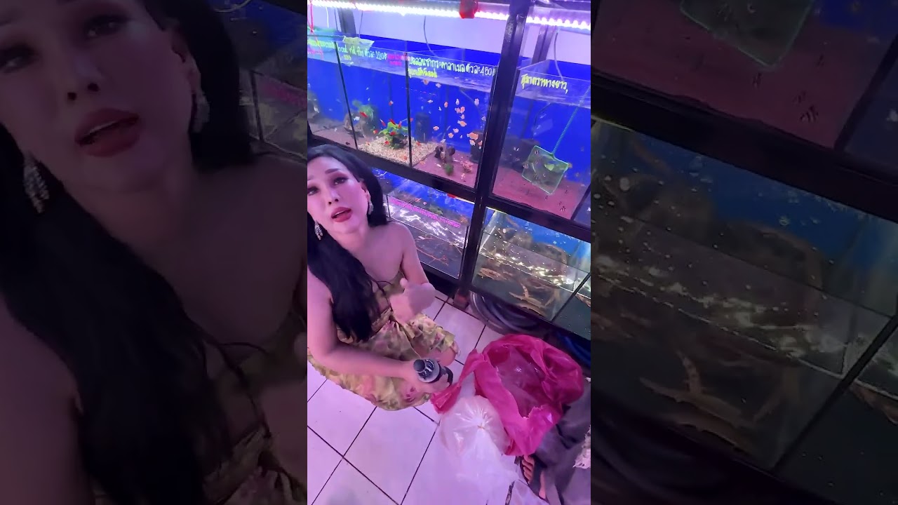 มัจฉาบำบัด