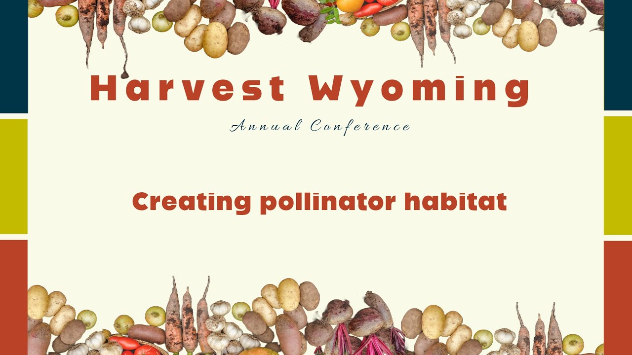 Creating pollinator habitat