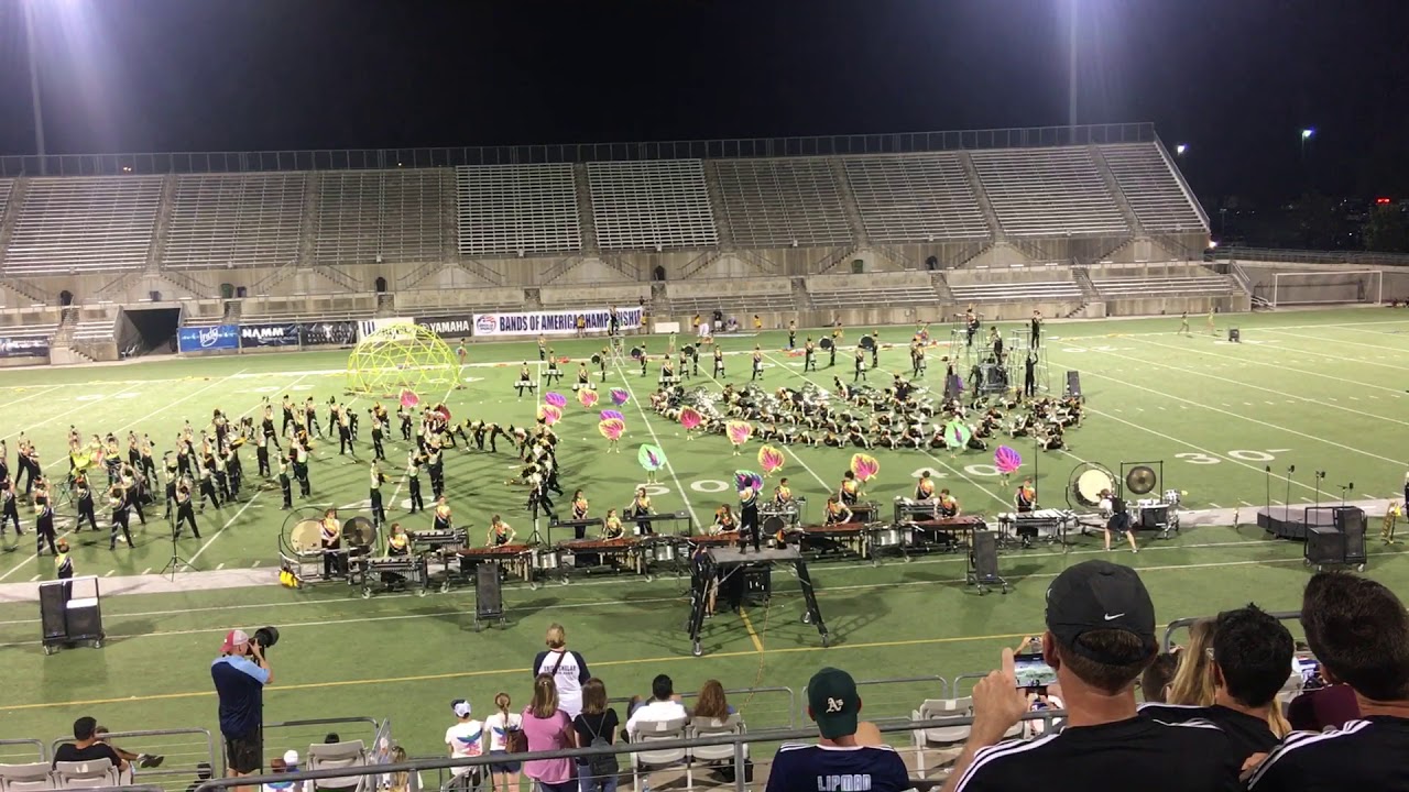 CTJ band 2017 the forest through the trees
