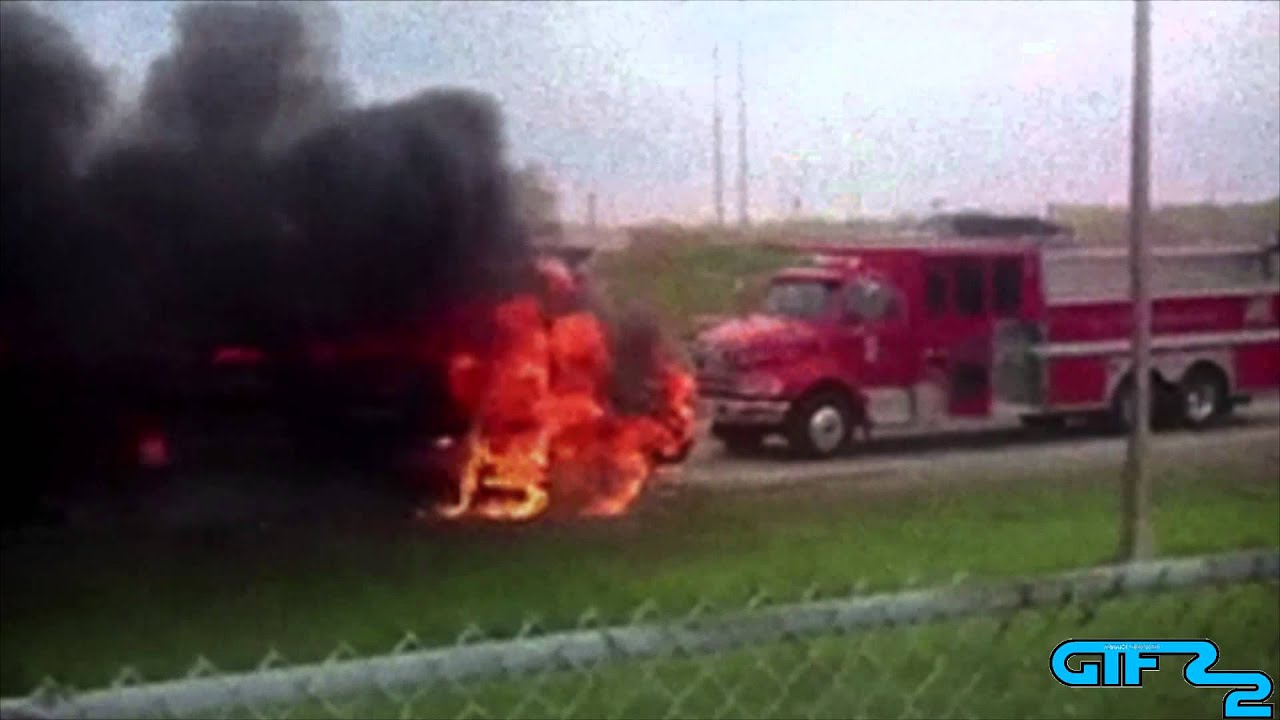 GIFs With Sound #27 FAN FRIDAY February 2015
