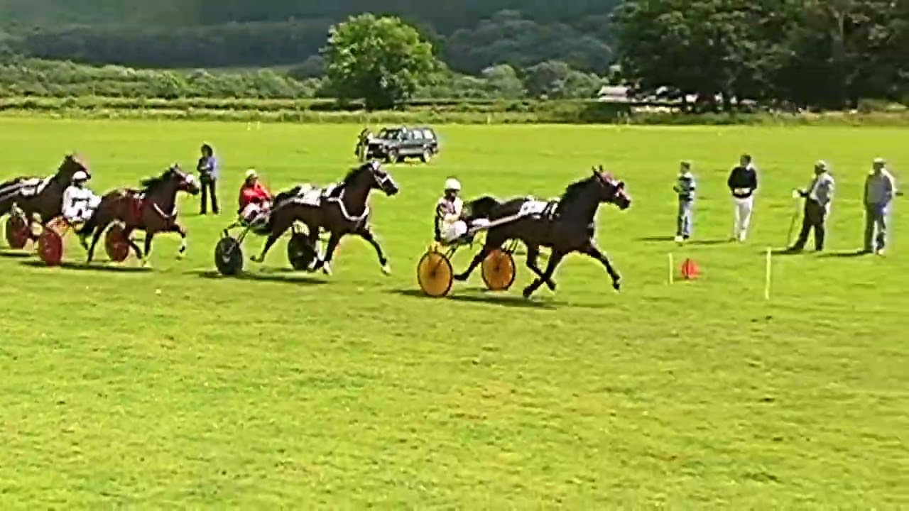 Presteigne Harness Races 2007 Grade B Heat 1