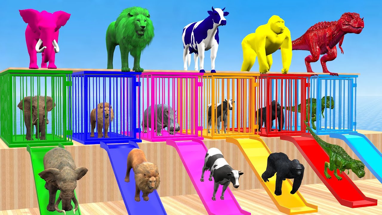 Long Slide Game with Cow Elephant Gorilla Hippopotamus Tiger 3d Animal Game Funny 3d Animals
