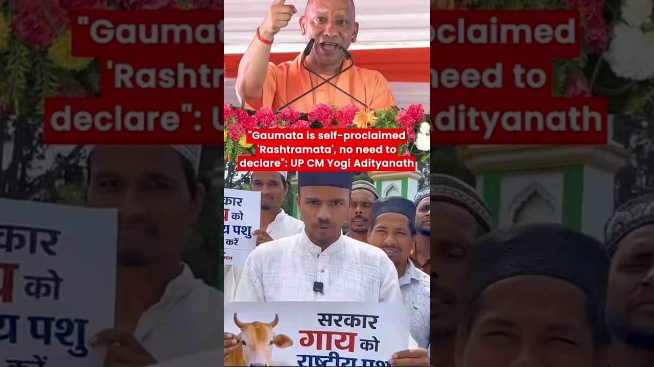 CM Yogi Adityanath- no need to declare cow as national animal.#india #yogiadityanath #cow #up