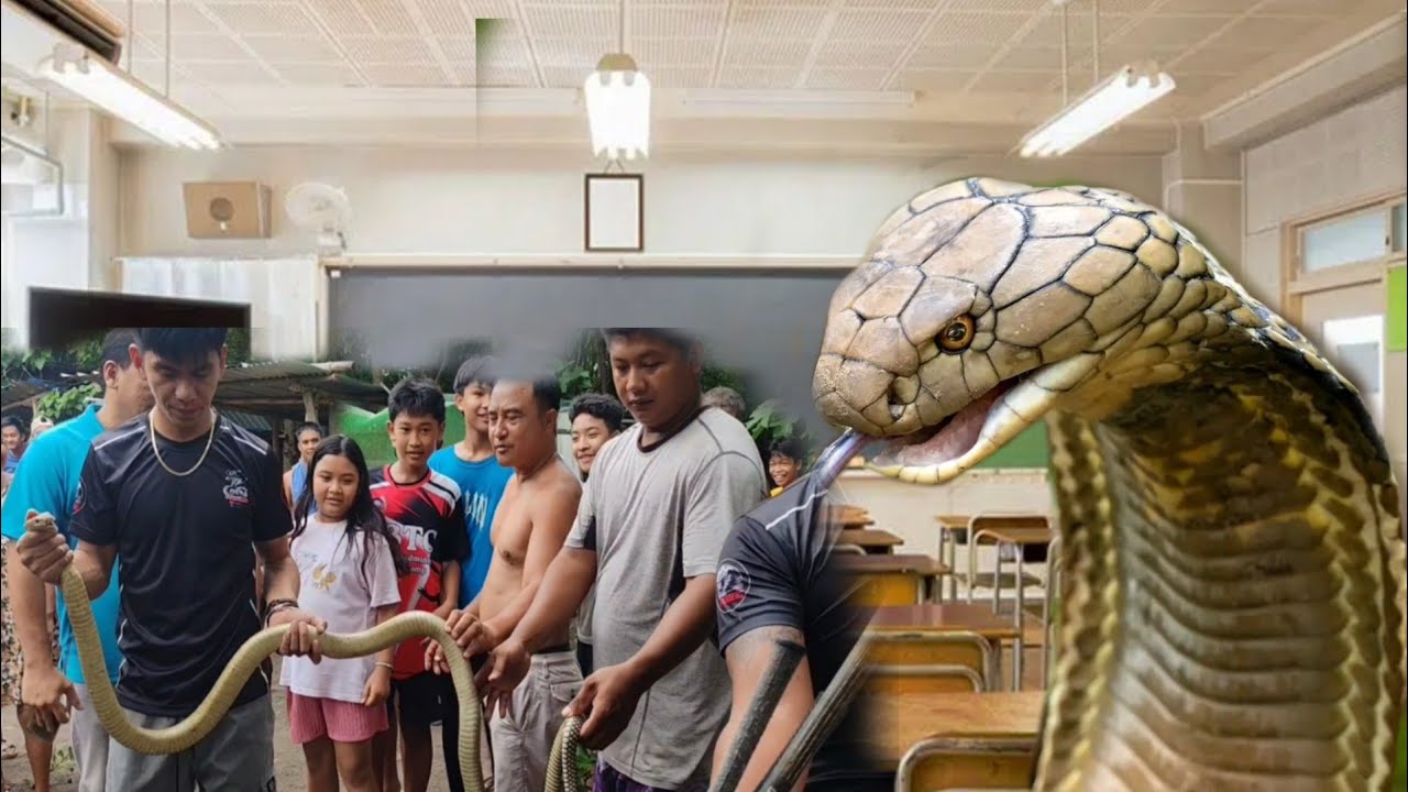 NAPAKADAMING COBRA SA SCHOOL NG MGA BATA
