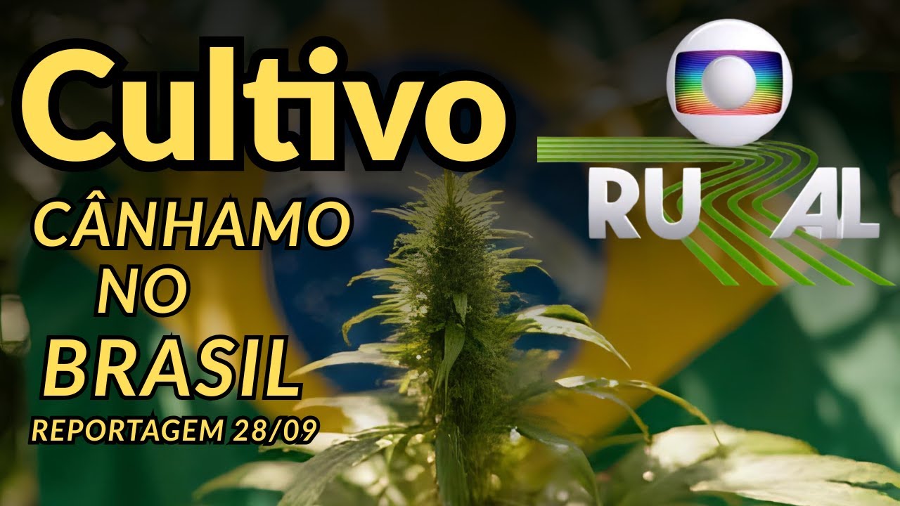 Reportagem no Globo RURAL 28/09/2025 sobre os Usos da Cannabis e Cultivo de C&acirc;nhamo no Brasil
