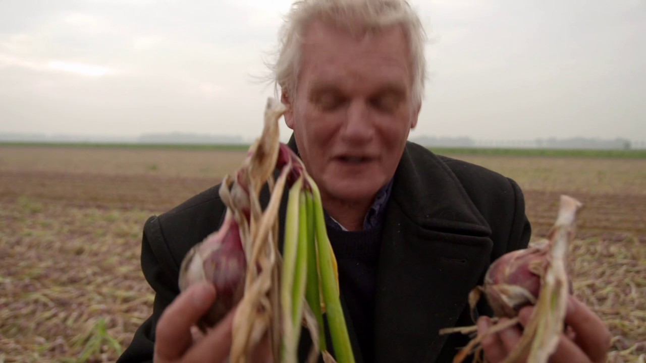 Holland Onions in de Wilde Keuken