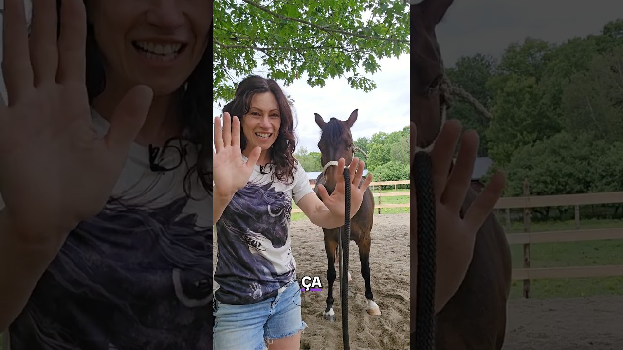 Comportement &Eacute;quin 🐴 Techniques bas&eacute;es sur la science avec Val&eacute;ry de Psychologie du Cheval🫶