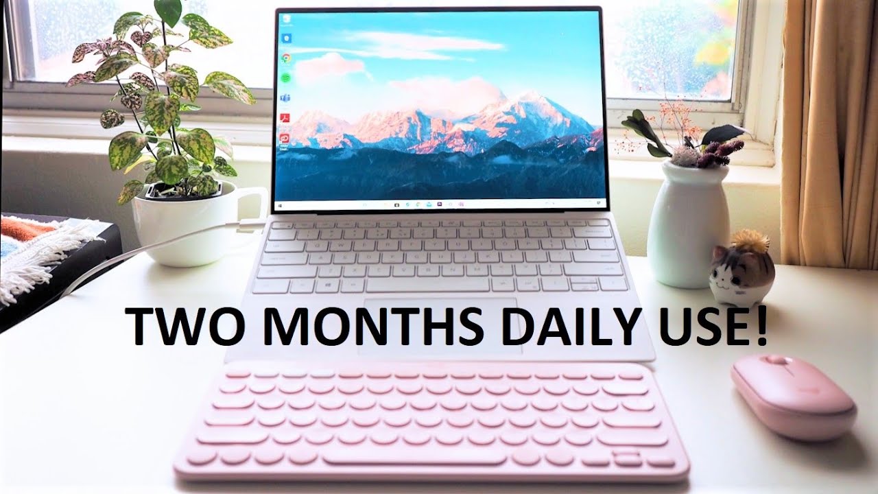 LONG TERM (2 Month) Review - New Dell XPS 13 9300 (2020)!